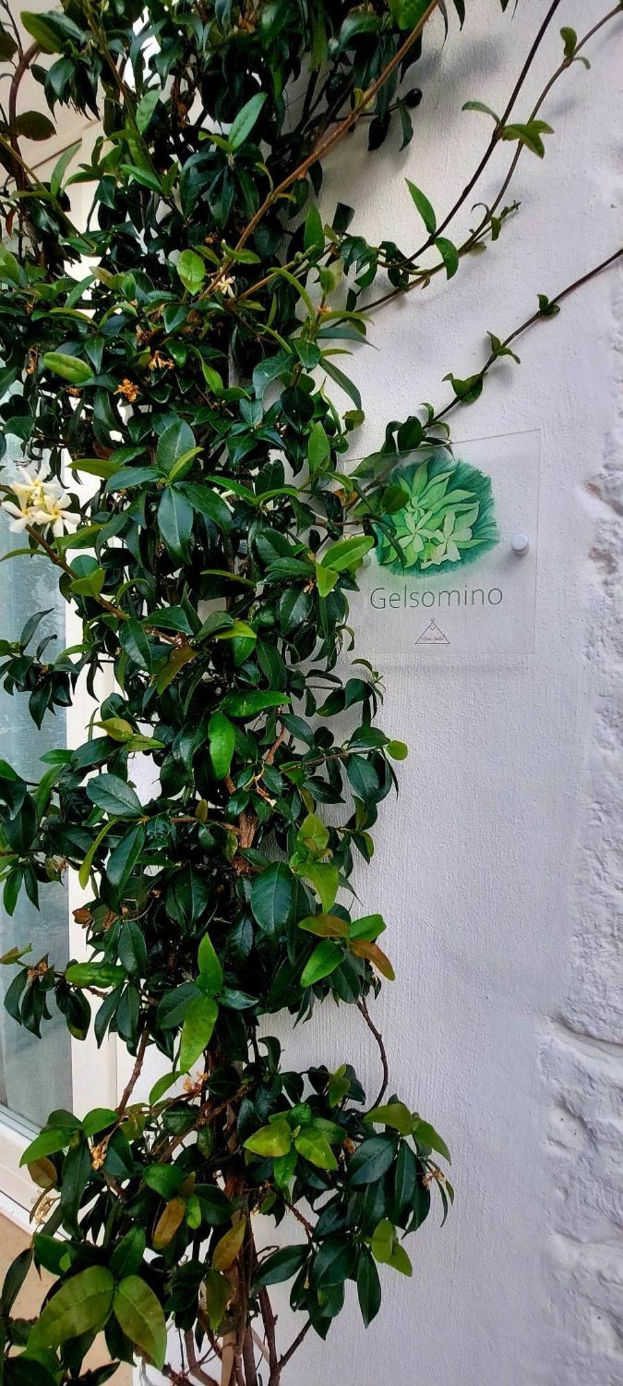 Mirum Apuliae Alberobello Exterior photo
